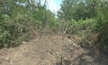 Избягалият затворник оставил заложницата си в гора, за да не го забави