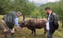 Бареков посети лично кравата Пенка (СНИМКИ)