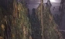 Разбиха наркооранжерия край София (СНИМКИ)