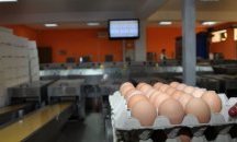 В края на юни поскъпнаха и яйцата