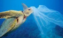 Слагат двадесет и пет метрова риба от найлонови торбички пред Казиното в Бургас