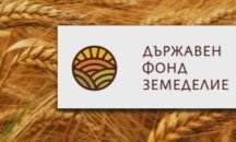 Памукопроизводителите получават близо 5 млн. лева за Кампания 2018