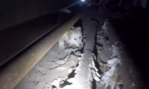 Спасиха куче след тримесечен престой в шахта в Сибир (ВИДЕО)