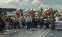 Животновъди изсипаха тонове мляко в протест срещу избиването на овце и кози