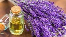 Маслото от лавандула помага при депресия
