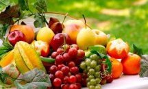 91% ръст на износа на Турция на плодове и зеленчуци след санкциите срещу Русия