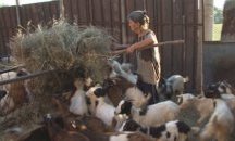 Изплащат обезщетенията в село Шарково