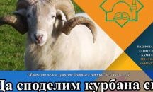 Главното мюфтийство стартира кампания за даряване на курбан за Курбан Байрам