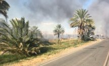 Горски пожари в Калифорния, енергийният оператор с призив към пестене на енергия (СНИМКИ)