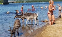 Жеги продължават да владеят Европа
