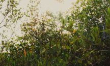 Почистват пътища в oбласт Търговищe