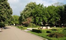 Велосипедист блъсна дете в градския парк в Монтана