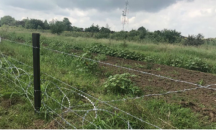 Повече от половината ограда по границата с Румъния вече е готова