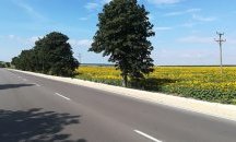 Започва ремонтът на още 5 км от пътя Златни пясъци-Варна