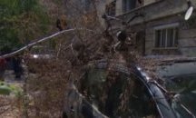 Завеждат дело срещу общината заради паднало дърво в София