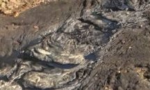 Чистят нефтен остатък от незаконно сметище в Русе