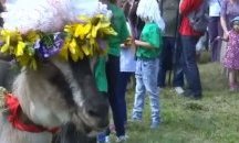 Необичайно: Конкурс за красота ''Мис коза'' (СНИМКИ)