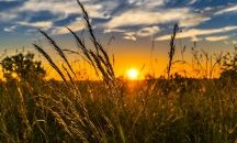 Слънчево и до 35 градса в четвъртък