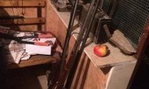 Иззеха голямо количество старинни оръжия в Мездра