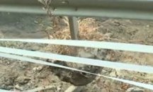 Свлачище затрупа републиканския път към Боровец