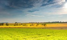 В Добрич събраха 800 000 лв. от наем на общинска земя