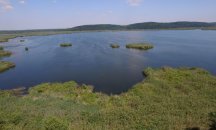 Подобряват местообитанията в резервата „Сребърна“