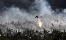 Пожар унищожи над 150 хектара гора във Франция