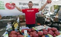 Фестивал на розовия домат отваря врати в Княжевската градина