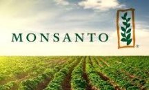 Monsanto е изправен пред 8700 дела, свързани с глифозатни продукти