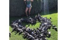Джулиана Гани получи сърце от гълъби