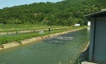 Ще развъждат пъстърви с ток от слънцето край Велико Търново