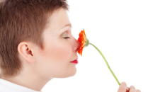 8-ми март в Берлин вече ще е неработен 