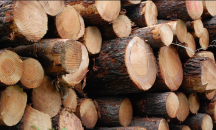 Цената на дървата за огрев пълзи нагоре