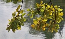 Слънчево и топло време в понеделник