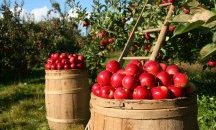 17-годишен земеделец стана хит в социалните мрежи
