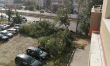 Отстраняват авариите от ураганния вятър, хиляди са без ток