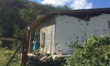 Иззеха над 120 кг марихуана в плевенско село