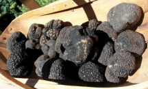 Подготвят закон специално за трюфелите