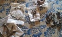 Иззеха ценни римски монети и боен пистолет при обиск на дом във Вършец
