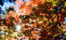 Слънчево и топло време във вторник