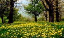 Слънчево в четвъртък