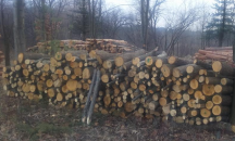 108 000 кубически метра дърва за огрев закупиха домакинствата от ЮЗДП
