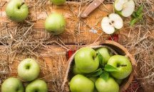 Фестивал на ябълката превзема Добрич