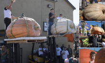 Американец отгледа 984-килограмова тиква