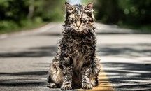 „Гробище за домашни любимци“ на Стивън Кинг с първи трейлър