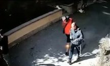 Вижте крадците, обрали дома на говорителката на СГС