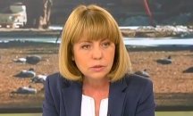 Йорданка Фандъкова: С 1/3 са намалели нивата на фините прахови частици в столицата