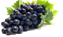 Основен проблем на производителите на грозде остава цената