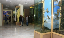 Терариум с 15 змии от четири вида е изграден в Русенския екомузей