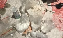 Разбиха група за разпространение на наркотици в Перник и околностите му